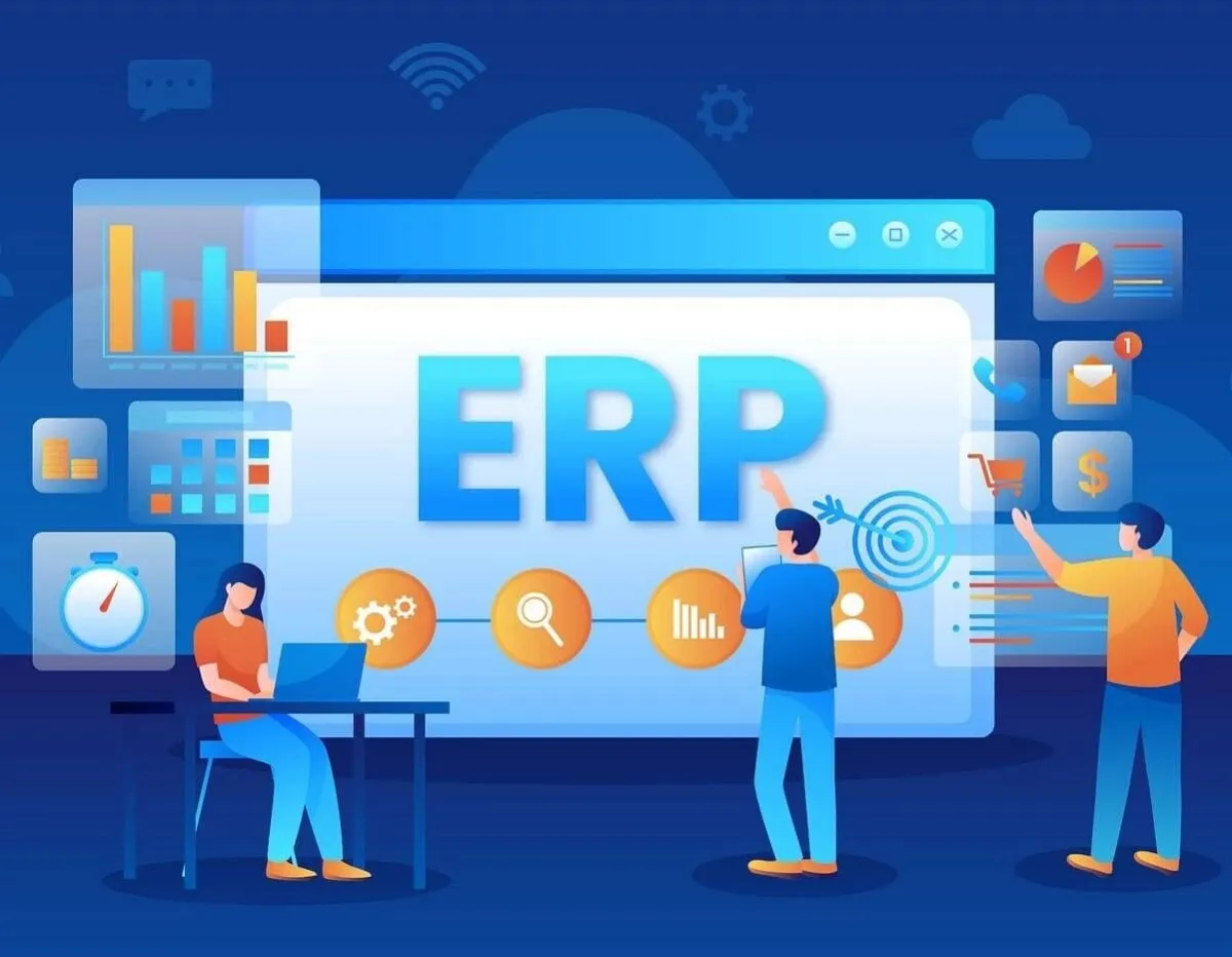 ERP Customization and Configuration ERP customization interface showing module configuration and workflow automation settings